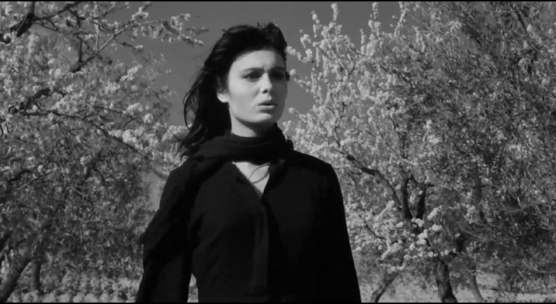 Иллюстрация 5