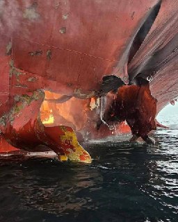 Иллюстрация 2