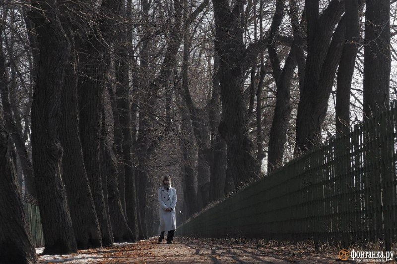 Иллюстрация 5