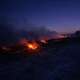 Иллюстрация 5