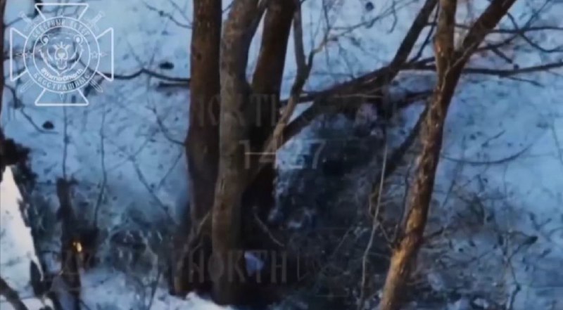 Иллюстрация 3