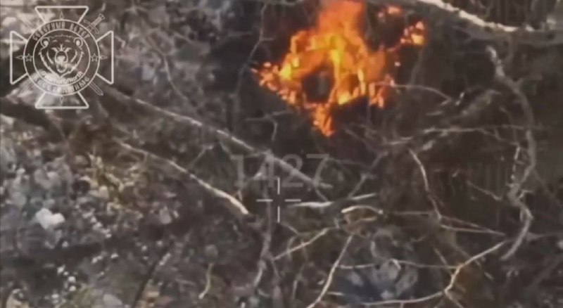 Иллюстрация 4