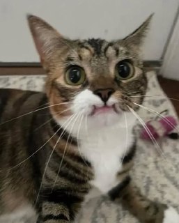 Иллюстрация 2