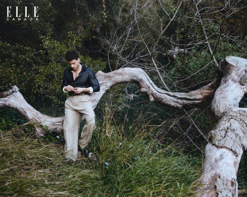 Иллюстрация 1