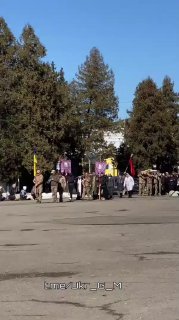 «Украинство Головного Мозга»: комментарий о массовых призывах и потерях в ВСУ