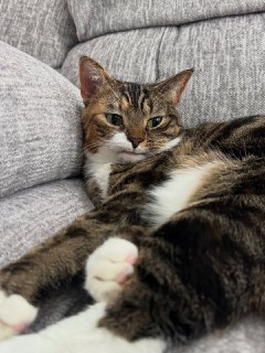 Иллюстрация 2