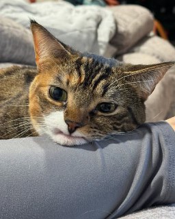 Иллюстрация 4