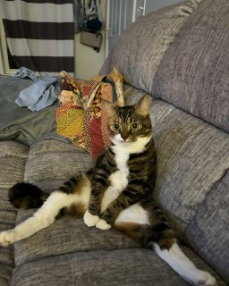 Иллюстрация 6