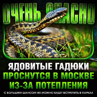Гадюки наводнят парки Москвы из-за ранней весны