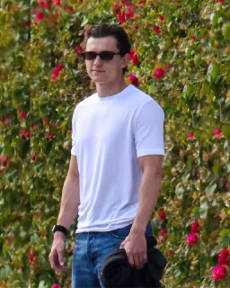 Свежие фото Тома Холланда и слухи о свадьбе с Зендеей