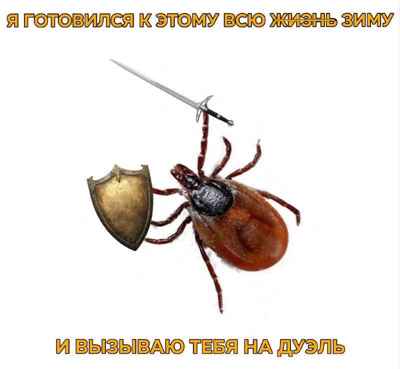 Клещи начнут нападать на россиян через неделю