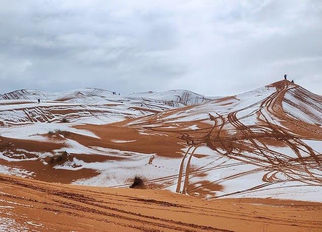 Иллюстрация 4