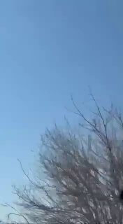 На Кипре замечены истребители F-16