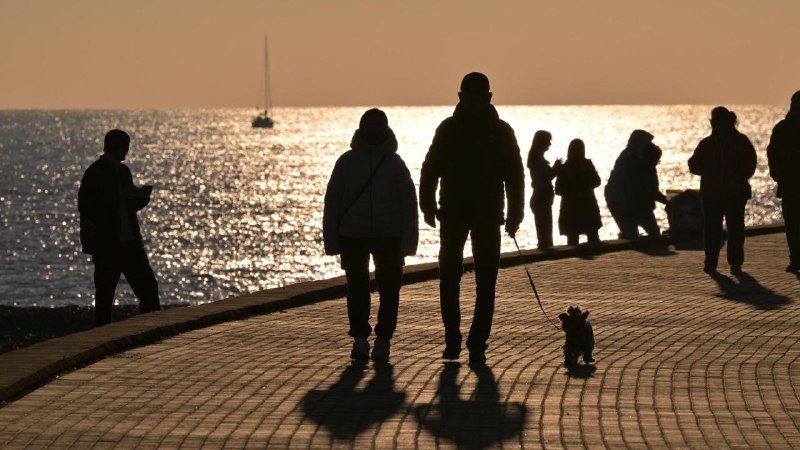 Иллюстрация 1