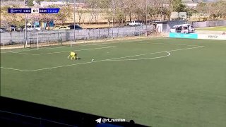 Футболисты в Панаме притворились мёртвыми из-за пчёл