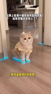 Иллюстрация 1