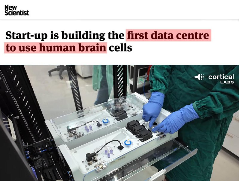 Стартап создал биокомпьютеры на живых клетках мозга для дата-центров