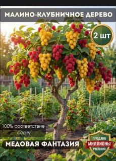 Иллюстрация 2