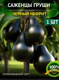 Иллюстрация 3