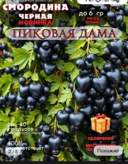 Иллюстрация 5