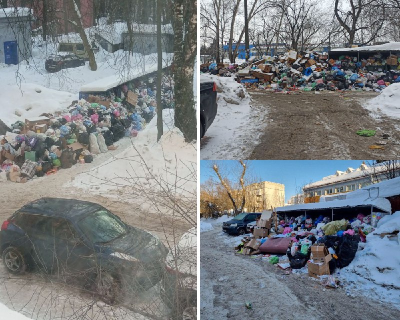 Нижегородцы устроили фотовыставку «царь-свалок» из-за невывоза мусора