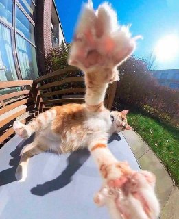 Иллюстрация 2