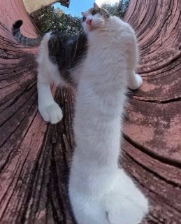 Иллюстрация 4