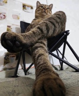 Иллюстрация 8