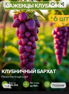 Иллюстрация 2
