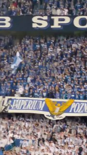 Польские фанаты скандировали лозунги в поддержку УПА и Бандеры во время матча