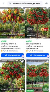 Бабушки скупают несуществующие растения на маркетплейсах из-за афер с ИИ