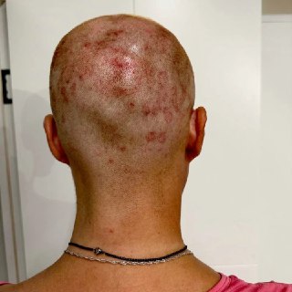 Иллюстрация 8