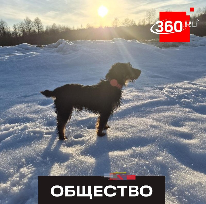 Иллюстрация 1