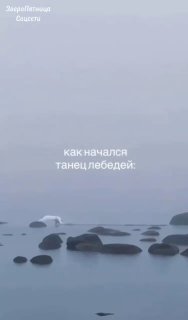 Иллюстрация 1