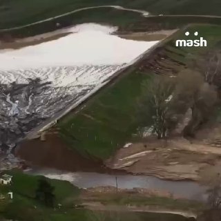 Иллюстрация 1