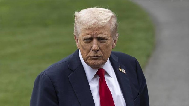 Иллюстрация 1