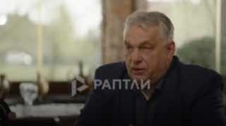 Иллюстрация 1