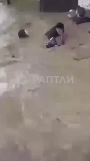 Иллюстрация 2