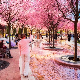 Иллюстрация 1