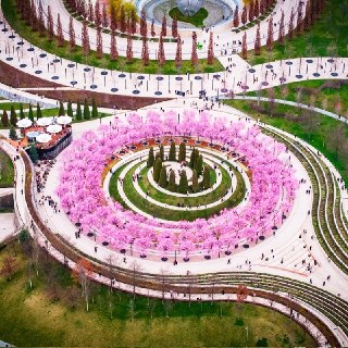 Иллюстрация 6