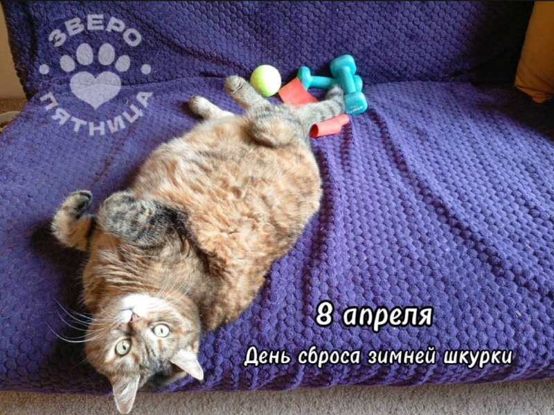 Иллюстрация 1