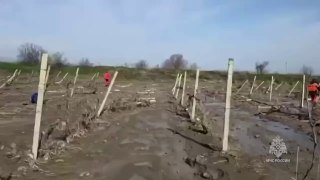 Иллюстрация 1