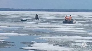 Иллюстрация 1