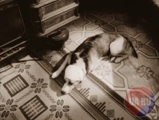 Зеленский о Трампе: у нас хорошие отношения, я могу говорить ему правду