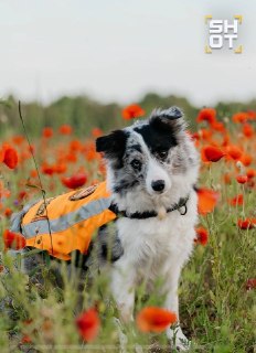 Иллюстрация 2