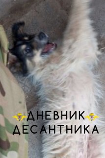 Иллюстрация 2