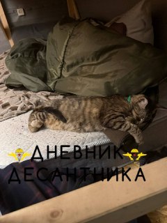 Иллюстрация 4