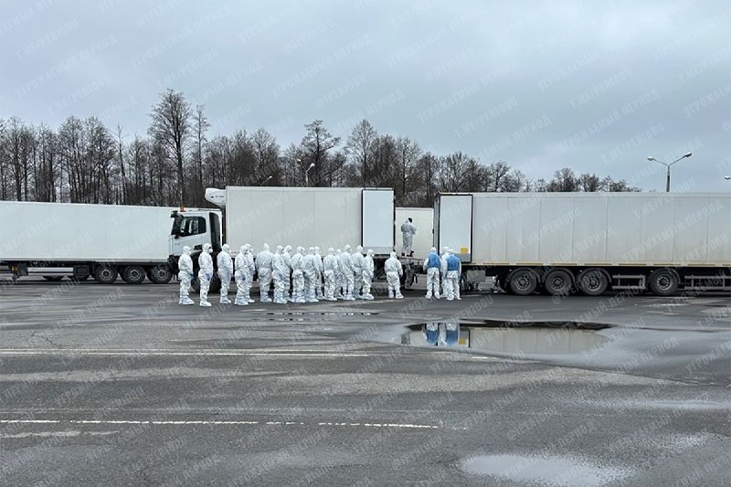 Иллюстрация 2