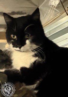 Иллюстрация 2