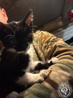 Иллюстрация 3